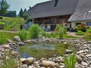Hofansicht mit Gartenteich