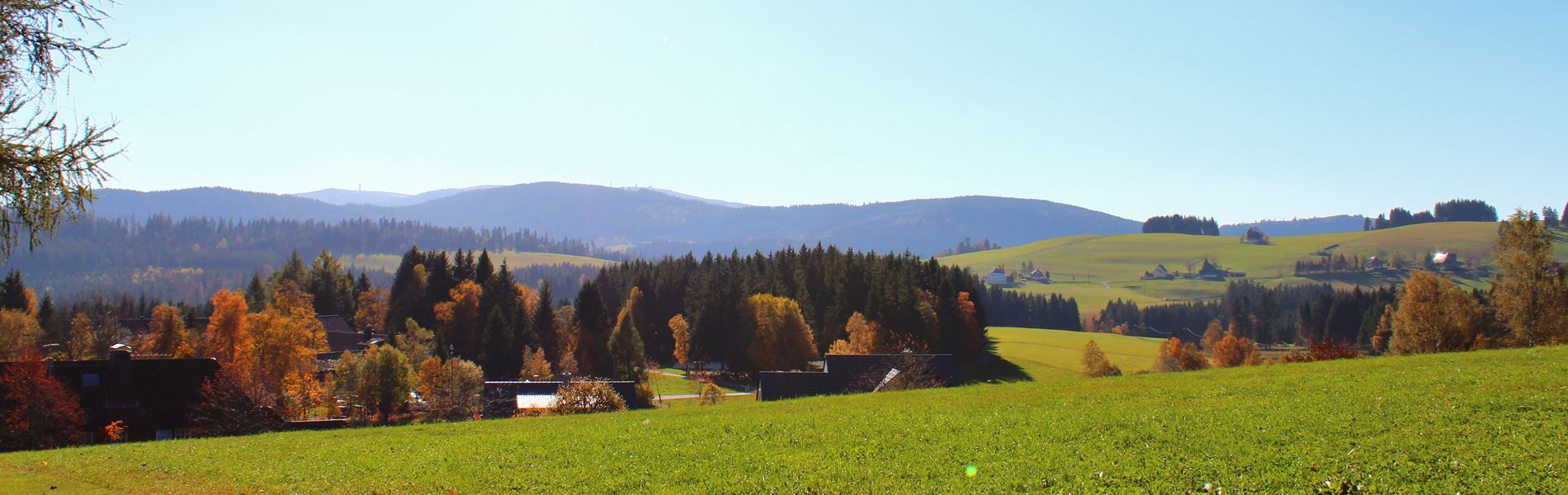Breitnau im Schwarzwald Blick auf den Feldberg