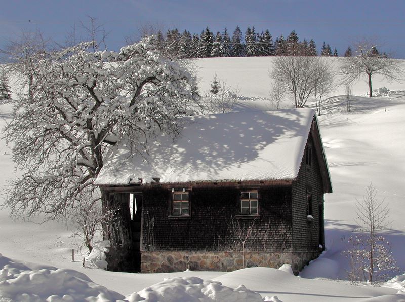 Hofmühle Lippenhof Schwarzwald
