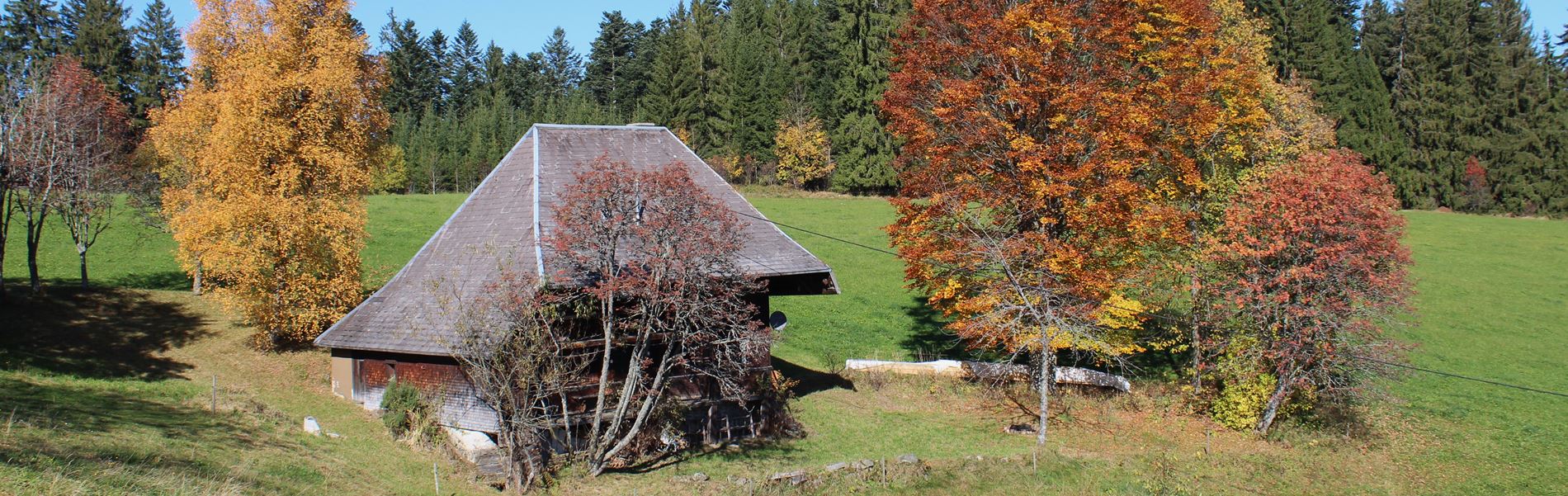 Lippenhäusle im Herbst