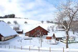 Lippenhof im Winter