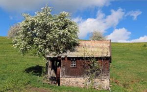 alte-muehle-lippenhof-breitnau